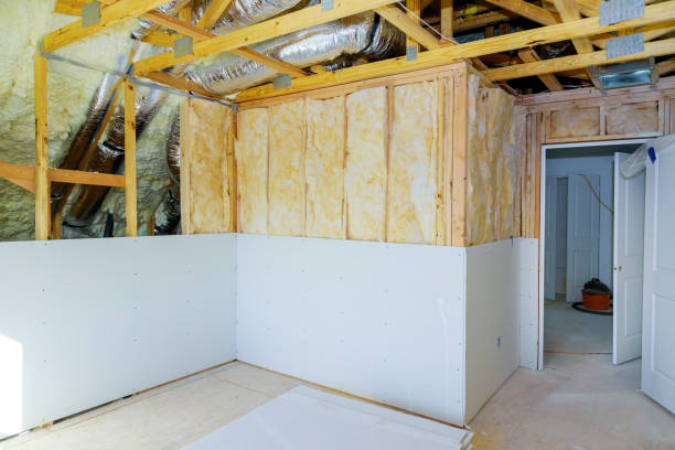 Best Residential Insulation in Bridgeport, MI