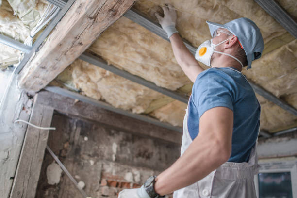 Best Eco-Friendly Insulation in Bridgeport, MI