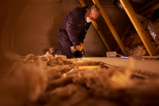 Best Commercial Insulation in Bridgeport, MI